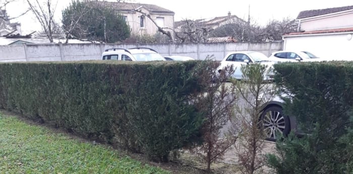 Image 5 sur 7 - Appartement  ·  Location · Pessac (33600) · 1 pièce · 22m²