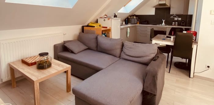 Image 1 sur 9 - Appartement  ·  Location · Selestat (67600) · 3 pièces · 33m²
