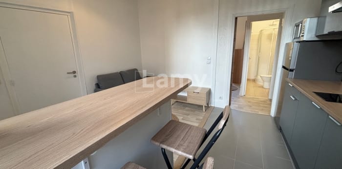 Image 5 sur 13 - Appartement  ·  Location · Dijon (21000) · 2 pièces · 26m²