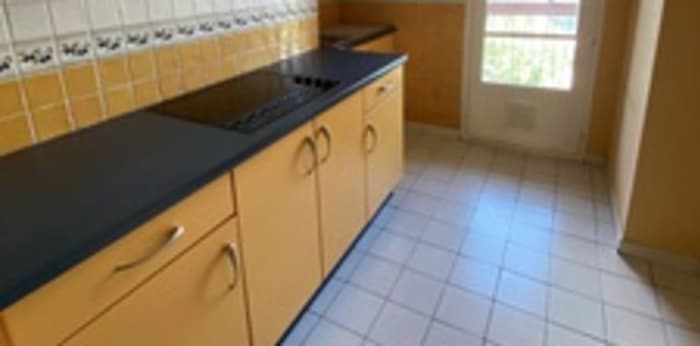 Image 1 sur 10 - Appartement  ·  Location · Villeurbanne (69100) · 3 pièces · 53m²