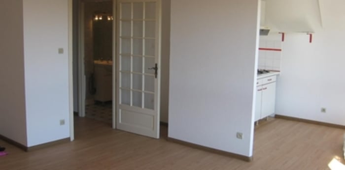Image 4 sur 5 - Appartement  ·  Location · Selestat (67600) · 1 pièce · 41m²