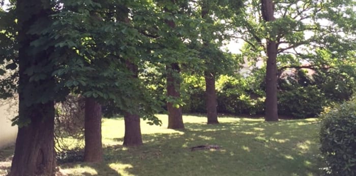 Image 5 sur 13 - Appartement  ·  Location · La Mulatiere (69350) · 3 pièces · 68m²