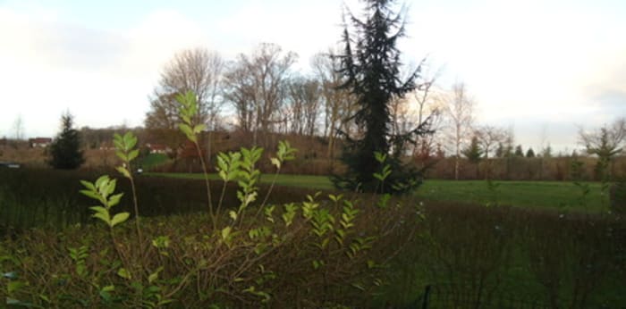 Image 2 sur 5 - Appartement  ·  Location · Montevrain (77144) · 2 pièces · 36m²