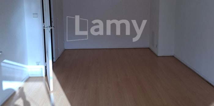 Image 1 sur 7 - Appartement  ·  Location · Toulouse (31200) · 2 pièces · 47m²