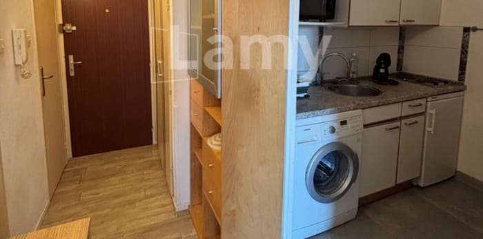 Image 7 sur 8 - Appartement  ·  Location · Strasbourg (67000) · 1 pièce · 34m²