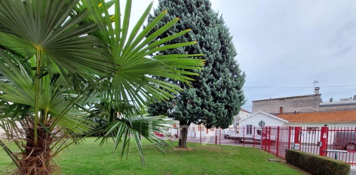Image 7 sur 7 - Appartement  ·  Location · Reims (51100) · 3 pièces · 60m²