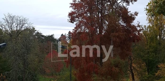 Image 6 sur 17 - Appartement  ·  Location · Nantes (44100) · 76m²