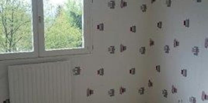 Image 3 sur 13 - Appartement  ·  Location · Dole (39100) · 2 pièces · 52m²