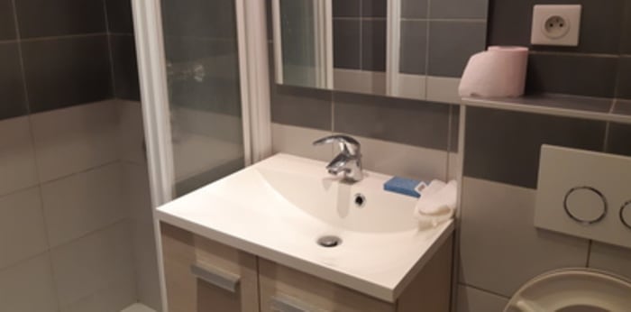 Image 4 sur 8 - Appartement  ·  Location · Chambery (73000) · 1 pièce · 21m²