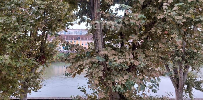 Image 1 sur 5 - Appartement  ·  Location · Chalon Sur Saone (71100) · 2 pièces · 27m²