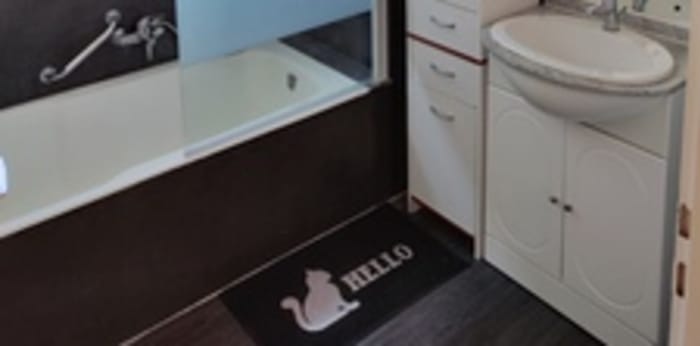 Image 5 sur 6 - Appartement  ·  Location · Haguenau (67500) · 2 pièces · 65m²