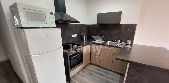 Image 3 sur 10 - Appartement  ·  Location · Grenoble (38100) · 2 pièces · 38m²