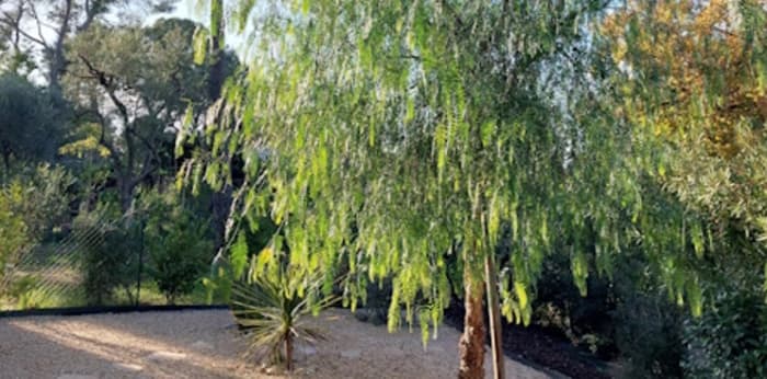 Image 1 sur 9 - Appartement  ·  Location · St Raphael (83700) · 2 pièces · 58m²