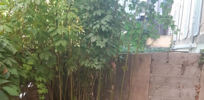 Image 4 sur 7 - Appartement  ·  Location · Aix En Provence (13100) · 1 pièce · 16m²