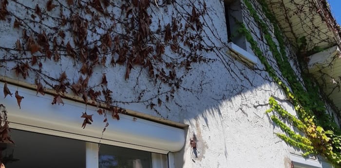 Image 9 sur 9 - Maison/villa  ·  Location · Seyssins (38180) · 2 pièces · 42m²