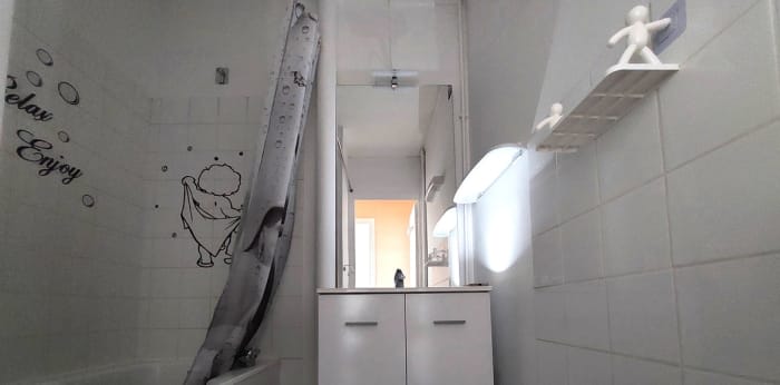 Image 11 sur 12 - Appartement  ·  Location · Limoges (87100) · 3 pièces · 54m²