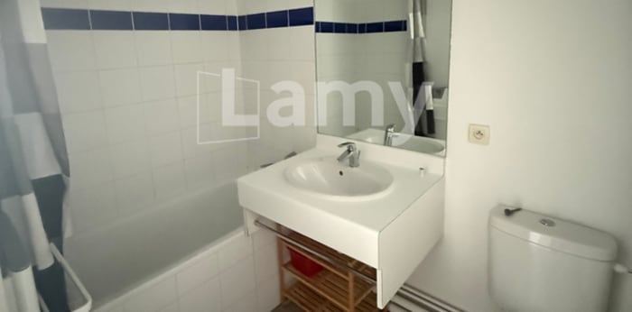 Image 5 sur 6 - Appartement  ·  Location · Strasbourg (67000) · 1 pièce · 21m²