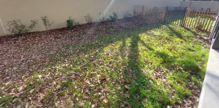 Image 15 sur 16 - Appartement  ·  Location · Moliets Et Maa (40660) · 3 pièces · 64m²