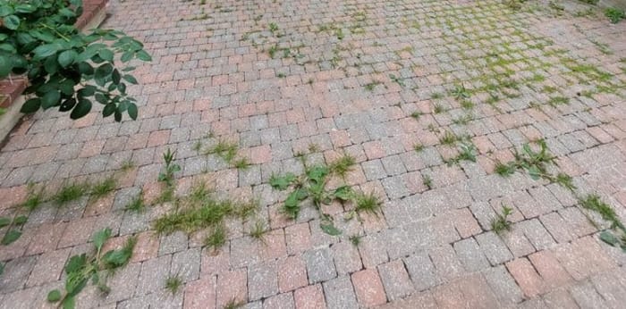 Image 19 sur 19 - Maison/villa  ·  Location · Villeneuve Sur Yonne (89500) · 3 pièces · 113m²