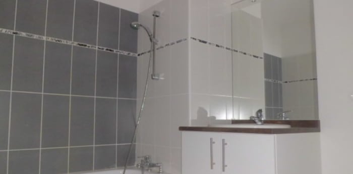 Image 3 sur 6 - Appartement  ·  Location · Montpellier (34070) · 2 pièces · 53m²