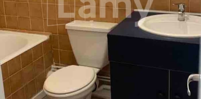 Image 6 sur 7 - Appartement  ·  Location · Lyon (69007) · 2 pièces · 39m²