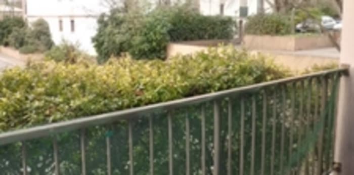 Image 3 sur 6 - Appartement  ·  Location · Montpellier (34090) · 1 pièce · 25m²