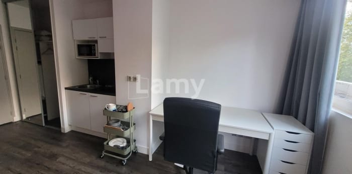 Image 5 sur 7 - Appartement  ·  Location · Villeurbanne (69100) · 1 pièce · 21m²