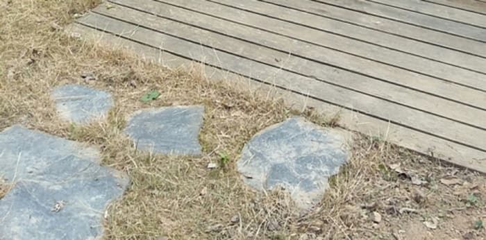 Image 3 sur 5 - Appartement  ·  Location · Angers (49000) · 2 pièces · 50m²