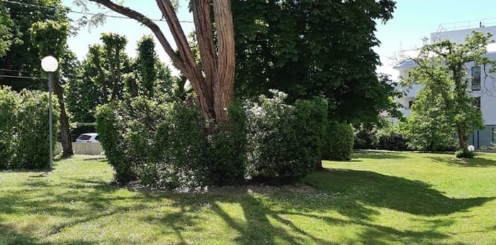 Image 3 sur 6 - Appartement  ·  Location · Bordeaux (33200) · 3 pièces · 65m²