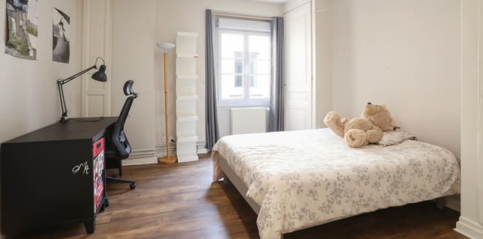 Image 4 sur 6 - Appartement  ·  Vente · Lyon (69002) · 3 pièces · 117m²