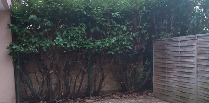 Image 3 sur 9 - Appartement  ·  Vente · Quetigny (21800) · 53m²