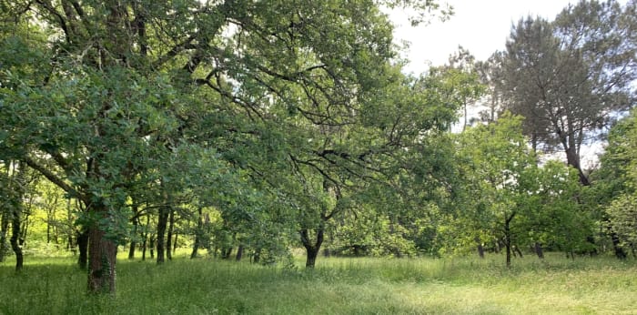 Image 10 sur 10 - Maison/villa  ·  Vente · Tizac De Lapouyade (33620) · 6 pièces · 140m²