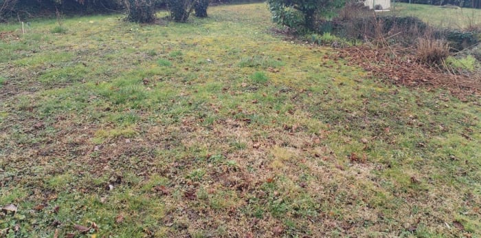 Image 5 sur 6 - Terrain  ·  Vente · Les Cheres (69380) · 612m²