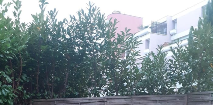 Image 9 sur 9 - Appartement  ·  Vente · Quetigny (21800) · 53m²