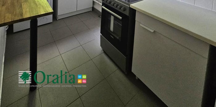 Image 6 sur 12 - Appartement  ·  Location · Paris (75015) · 3 pièces · 56m²