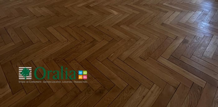 Image 5 sur 27 - Appartement  ·  Location · Lyon (69006) · 7 pièces · 235m²