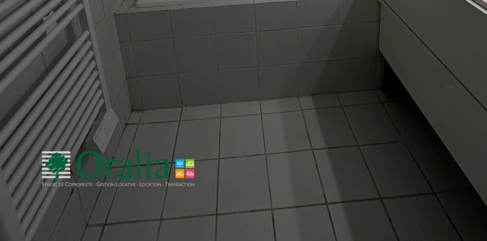 Image 10 sur 10 - Appartement  ·  Location · Villeurbanne (69100) · 1 pièce · 41m²