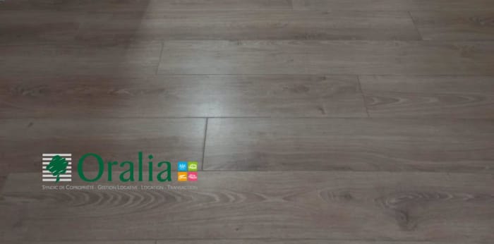 Image 3 sur 8 - Appartement  ·  Location · Paris (75015) · 3 pièces · 53m²