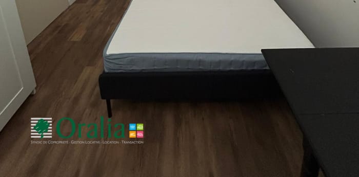 Image 14 sur 16 - Appartement  ·  Location · Villeurbanne (69100) · 3 pièces · 57m²