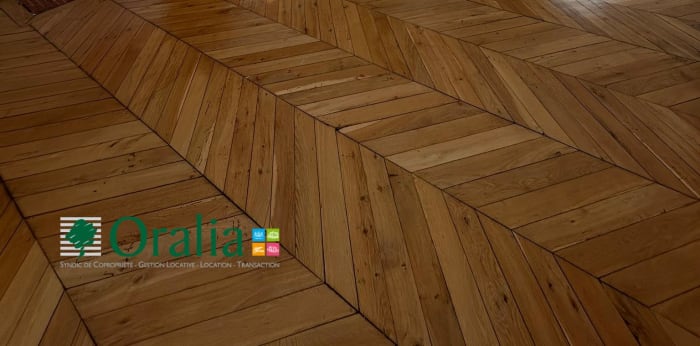 Image 6 sur 10 - Appartement  ·  Location · Lyon (69002) · 1 pièce · 37m²