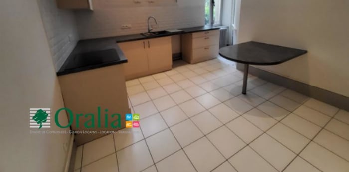 Image 11 sur 12 - Appartement  ·  Location · Lyon (69006) · 4 pièces · 168m²