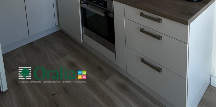 Image 3 sur 17 - Appartement  ·  Location · Lyon (69007) · 2 pièces · 50m²