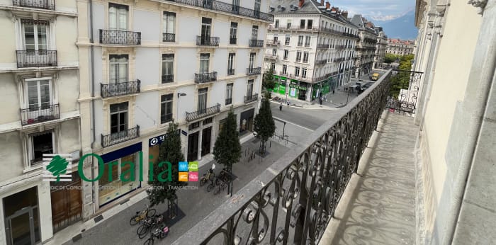 Image 15 sur 17 - Appartement  ·  Location · Grenoble (38000) · 5 pièces · 128m²