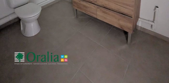 Image 6 sur 12 - Appartement  ·  Location · Lyon (69002) · 4 pièces · 104m²