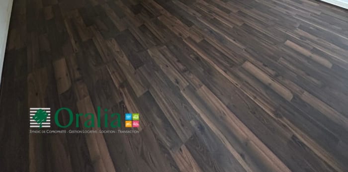 Image 4 sur 11 - Appartement  ·  Location · Lyon (69001) · 2 pièces · 41m²