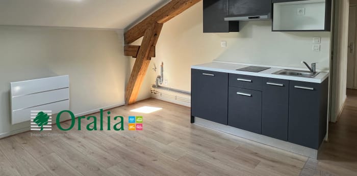 Image 1 sur 6 - Appartement  ·  Location · Thizy Les Bourgs (69240) · 3 pièces · 55m²