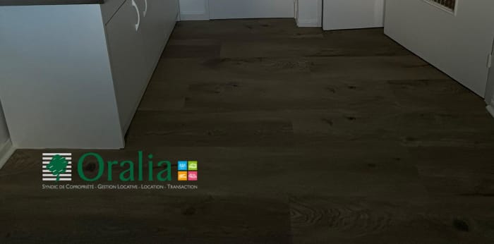 Image 7 sur 14 - Appartement  ·  Location · Lyon (69007) · 1 pièce · 28m²