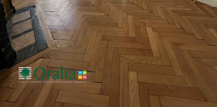 Image 4 sur 27 - Appartement  ·  Location · Lyon (69006) · 7 pièces · 235m²