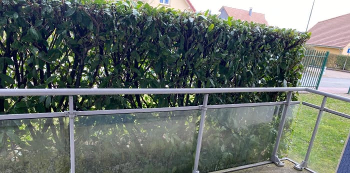 Image 4 sur 15 - Appartement  ·  Location · Offemont (90300) · 3 pièces · 63m²