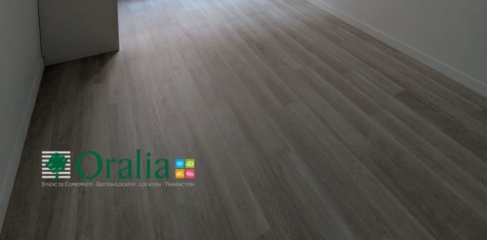 Image 11 sur 12 - Appartement  ·  Location · Lyon (69002) · 4 pièces · 104m²